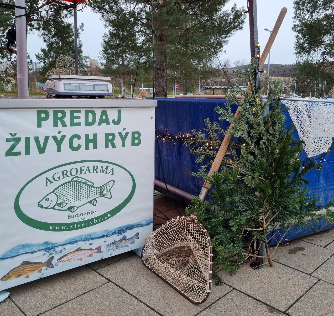 Stánok s predajom živých rýb pred Bory Mall